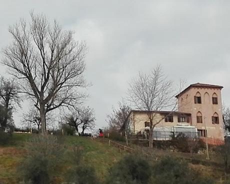 Bassanonet.it Testa o Crocetta