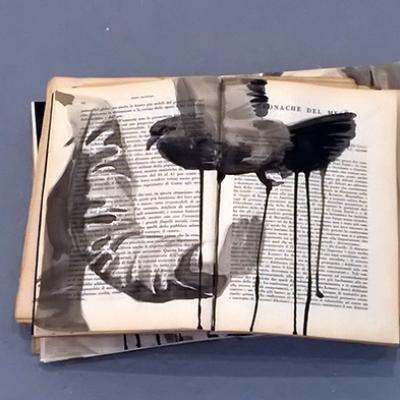 Bassanonet.it Modalità lettura – n.0