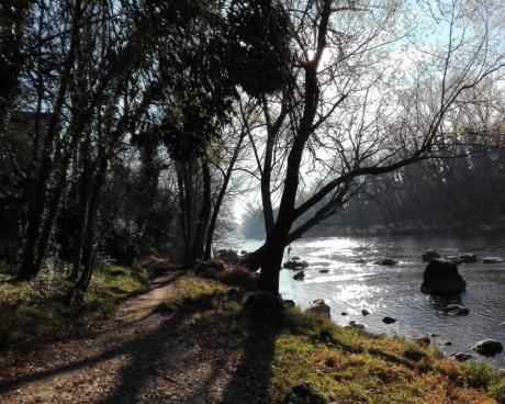 Bassanonet.it Pista Quattro Stagioni
