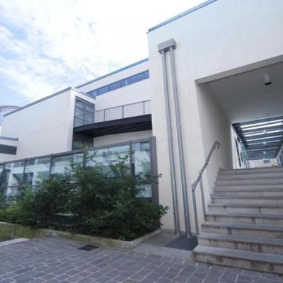 Bassanonet.it Libri in terapia