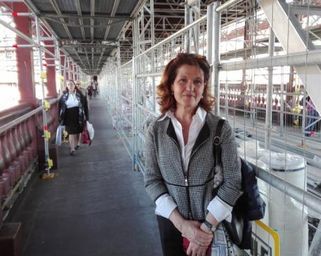 Bassanonet.it Per 3 milioni di ragioni