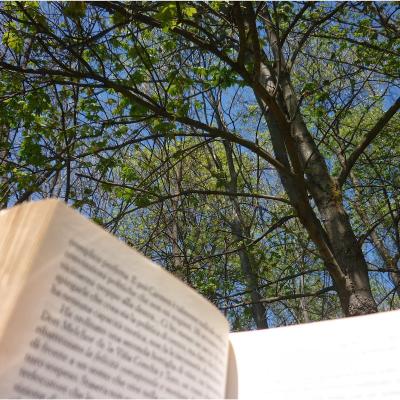 Bassanonet.it Una città che legge