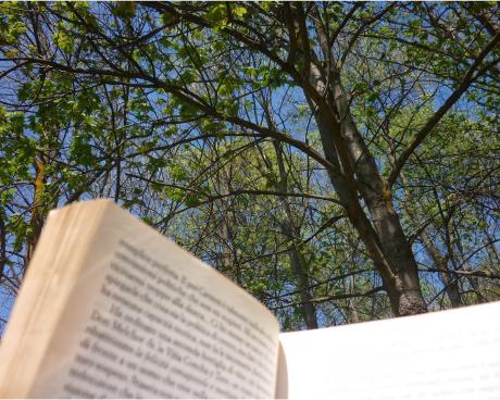 Bassanonet.it Una città che legge