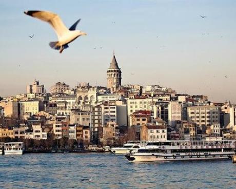 Bassanonet.it Modalità lettura - n.11