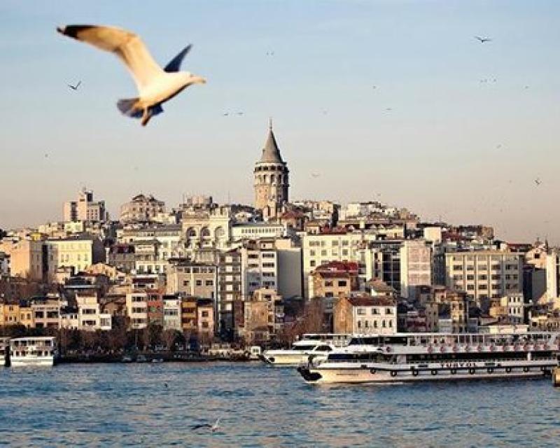 Bassanonet.it Modalità lettura - n.11