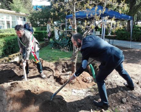 Bassanonet.it Dimmi di Sis