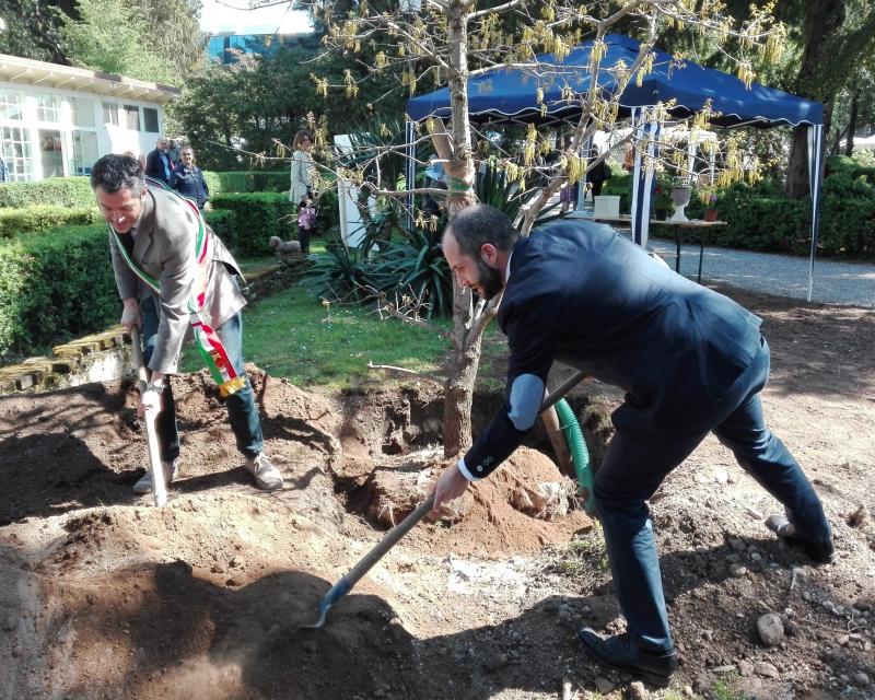 Bassanonet.it Dimmi di Sis