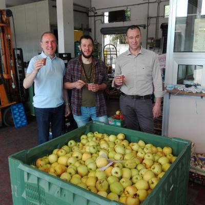 Bassanonet.it La frutta congelata
