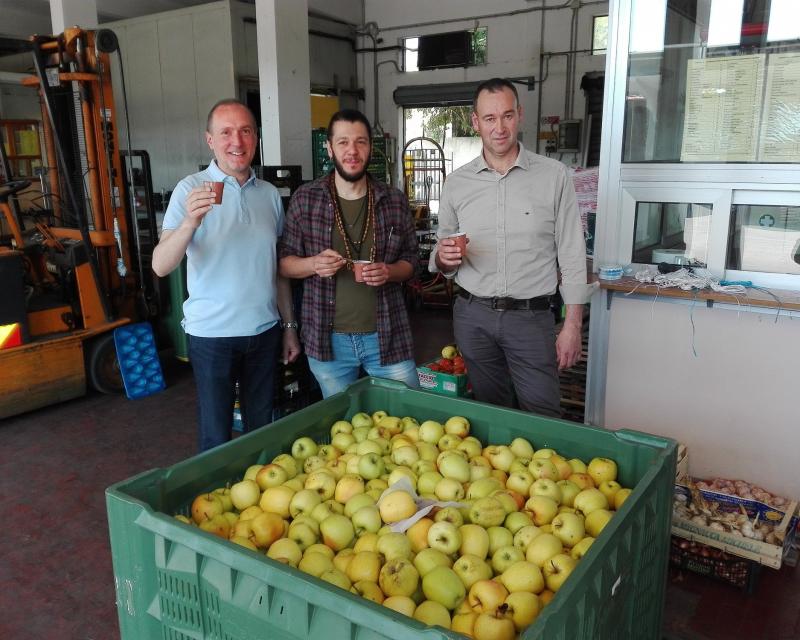 Bassanonet.it La frutta congelata