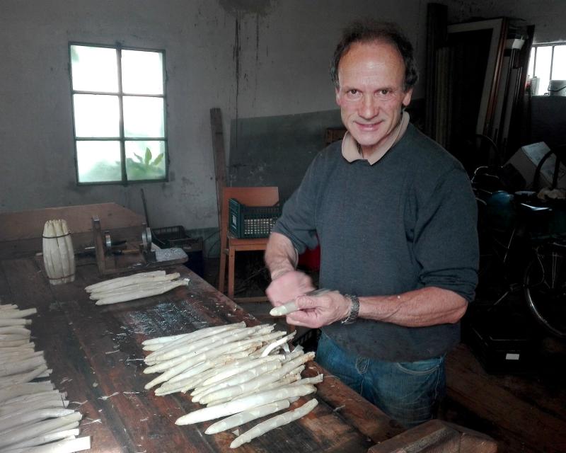 Bassanonet.it L'altra faccia dell'Asparago