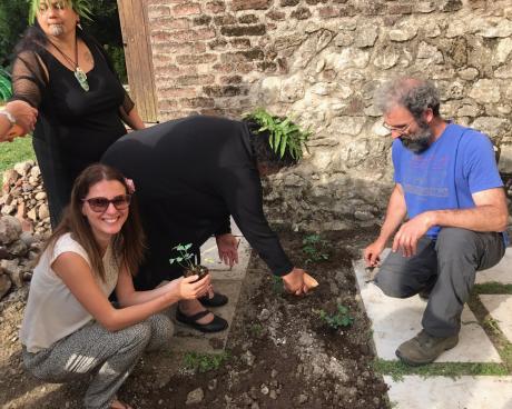 Bassanonet.it Germogli principeschi