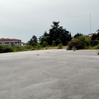 Bassanonet.it In fondo al Mar