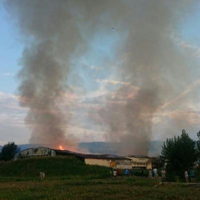 Bassanonet.it Strage di galline nel rogo del capannone