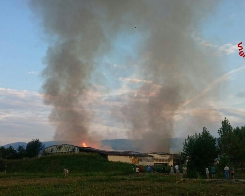 Bassanonet.it Strage di galline nel rogo del capannone