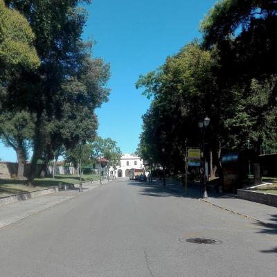 Bassanonet.it In un altro senso