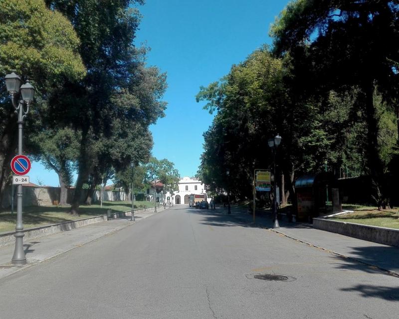 Bassanonet.it In un altro senso