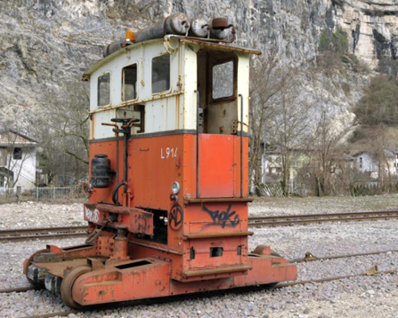 Bassanonet.it Viva la Sogliola