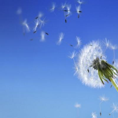 Bassanonet.it Marchio d'Aria