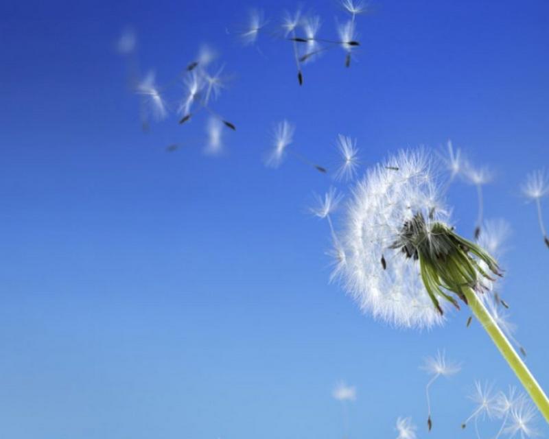 Bassanonet.it Marchio d'Aria