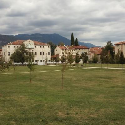 Bassanonet.it Da verde a rosso