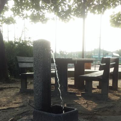 Bassanonet.it PFASserà anche questa