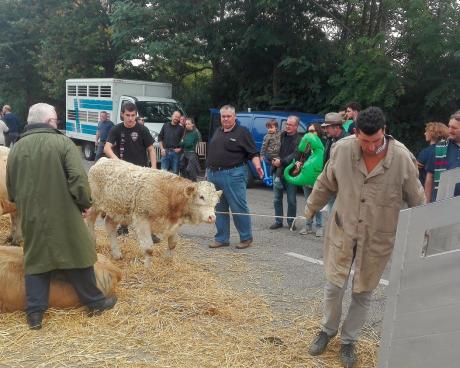 Bassanonet.it Urban Cowboys