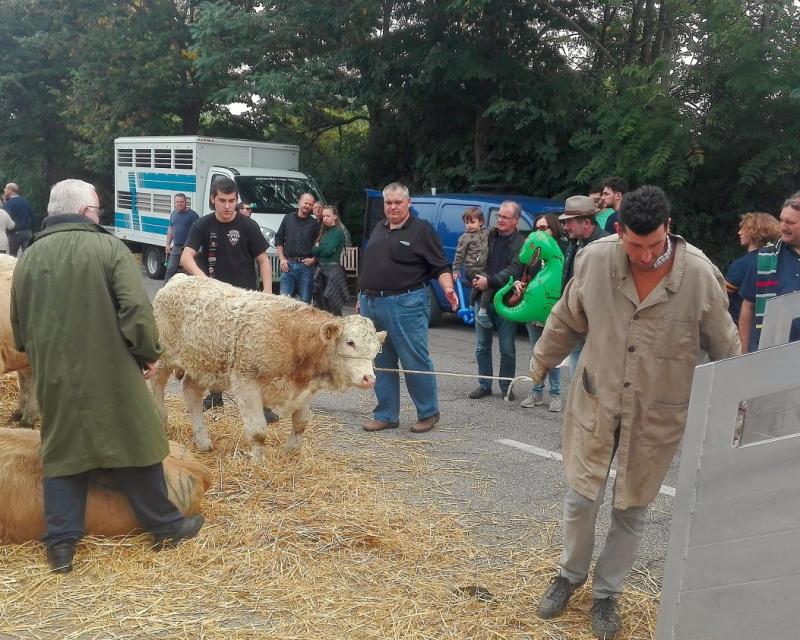 Bassanonet.it Urban Cowboys