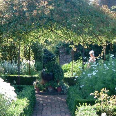 Bassanonet.it Modalità lettura - n.27