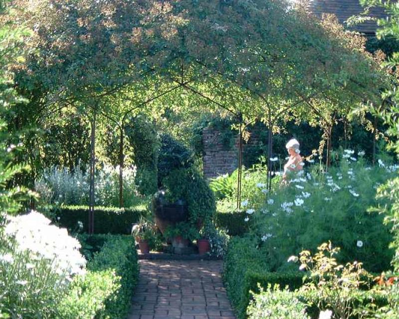 Bassanonet.it Modalità lettura - n.27