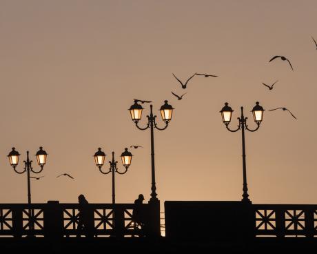 Bassanonet.it Questo sì che è un selfie