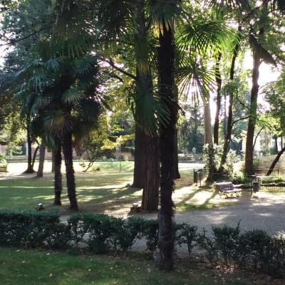 Bassanonet.it La buona erba