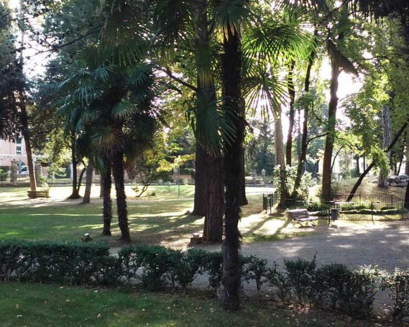 Bassanonet.it La buona erba