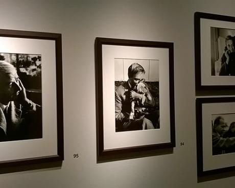 Bassanonet.it Modalità lettura - n.28