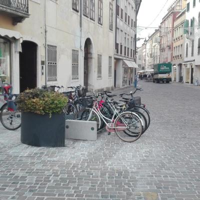 Bassanonet.it Zebre in via di estinzione