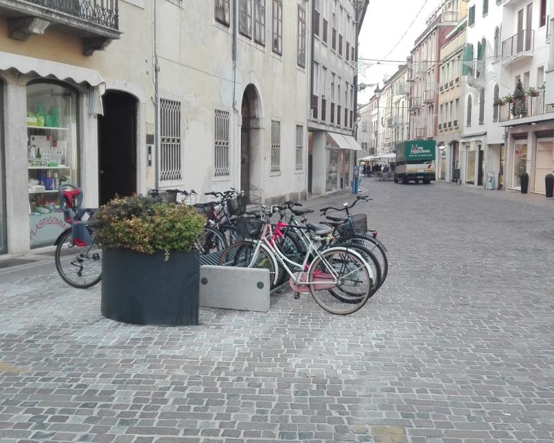 Bassanonet.it Zebre in via di estinzione