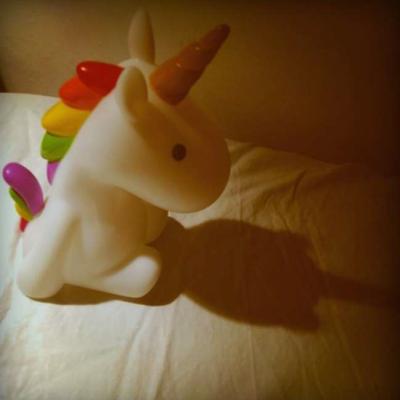 Bassanonet.it Chiara Bersani dà vita al Gentle Unicorn