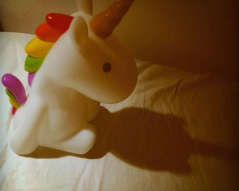 Bassanonet.it Chiara Bersani dà vita al Gentle Unicorn