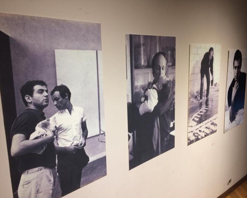 Bassanonet.it Pop Art a stelle e... tricolore