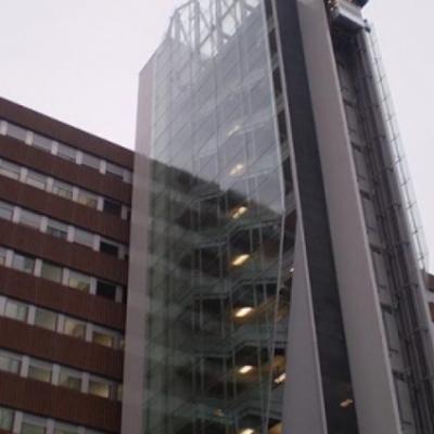 Bassanonet.it Donna muore per meningite