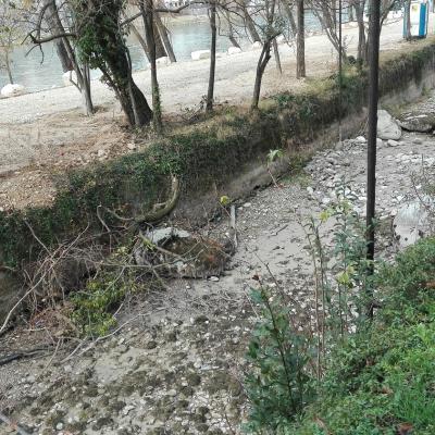 Bassanonet.it Colpo di Genio