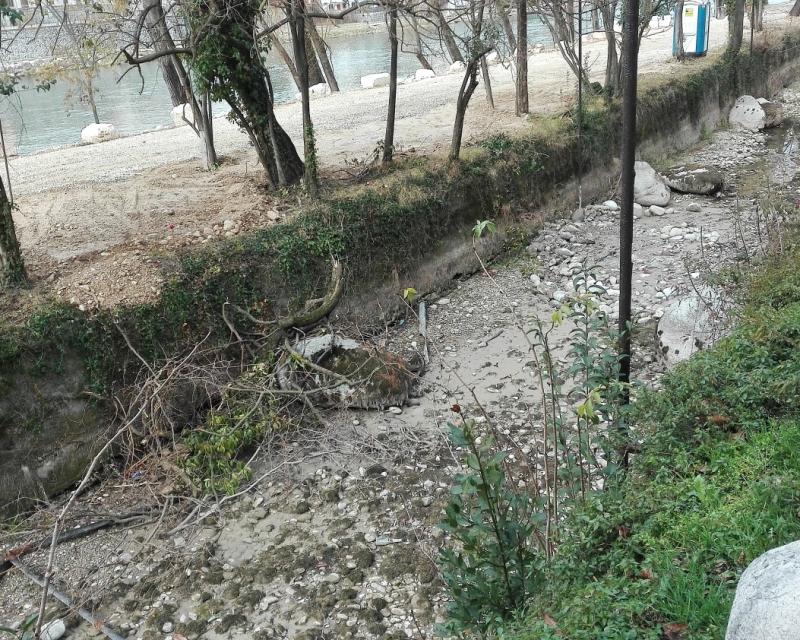 Bassanonet.it Colpo di Genio