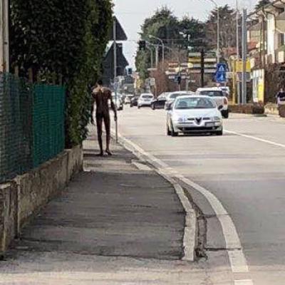 Bassanonet.it Nudo alla meta