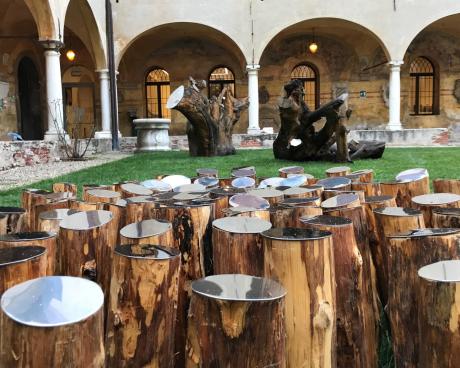 Bassanonet.it L'invasione degli ultratronchi