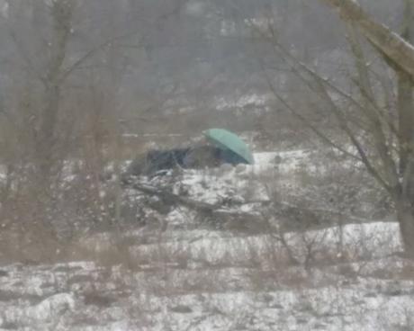 Bassanonet.it Il letto del fiume