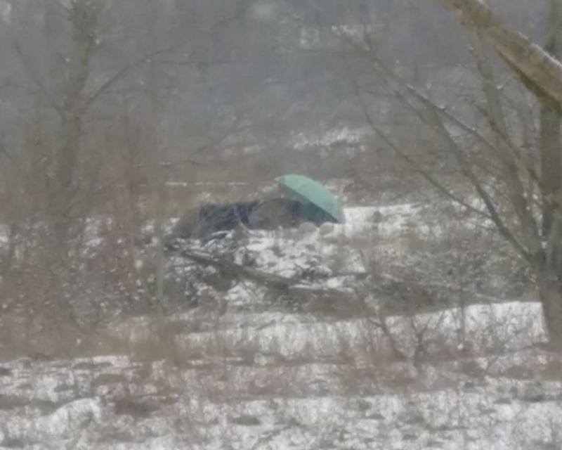 Bassanonet.it Il letto del fiume