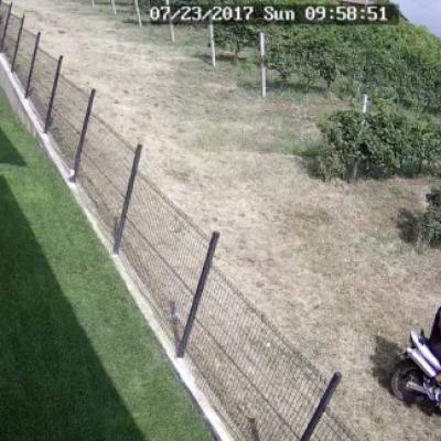 Bassanonet.it Motore di ricerca