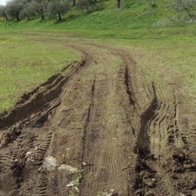 Bassanonet.it Giardini a Bassano