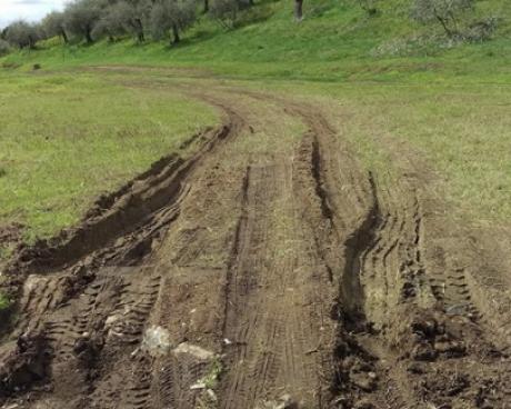 Bassanonet.it Giardini a Bassano