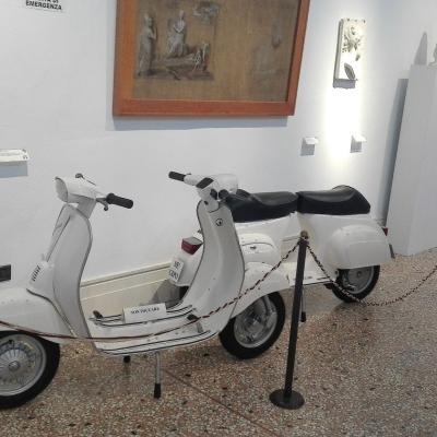 Bassanonet.it Il Museo Cinico