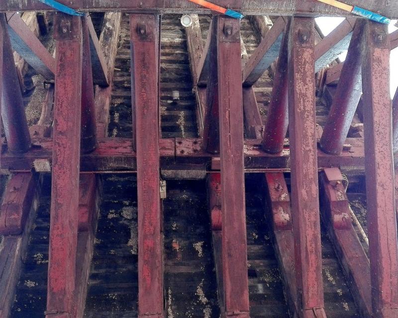 Bassanonet.it Legno di bufala